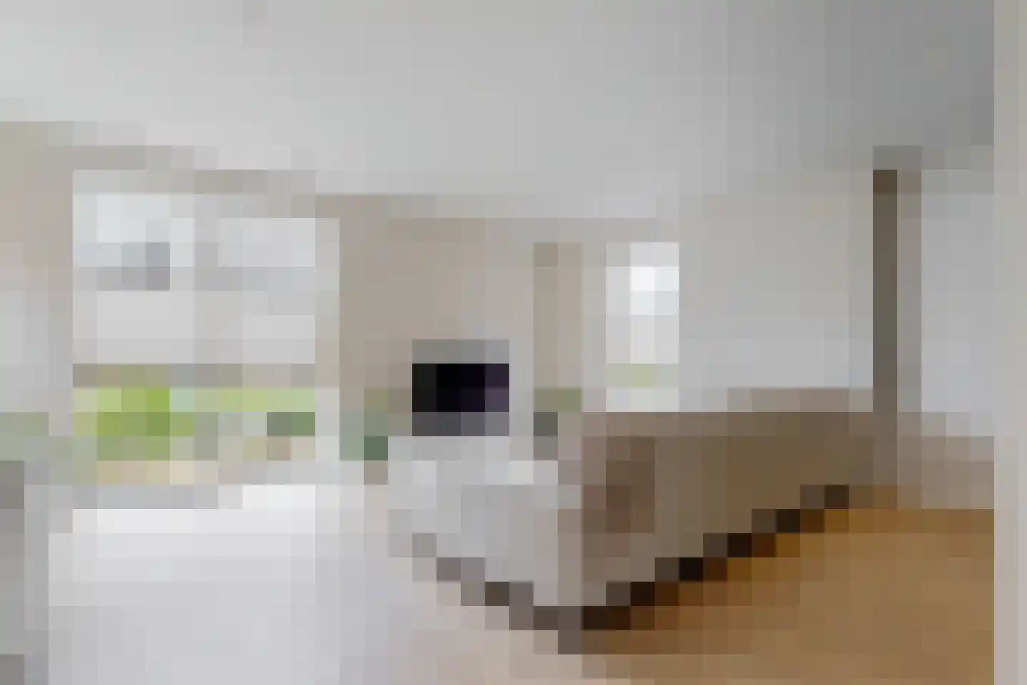 Dusseldorperweg 20 c Limmen thumbnail 8