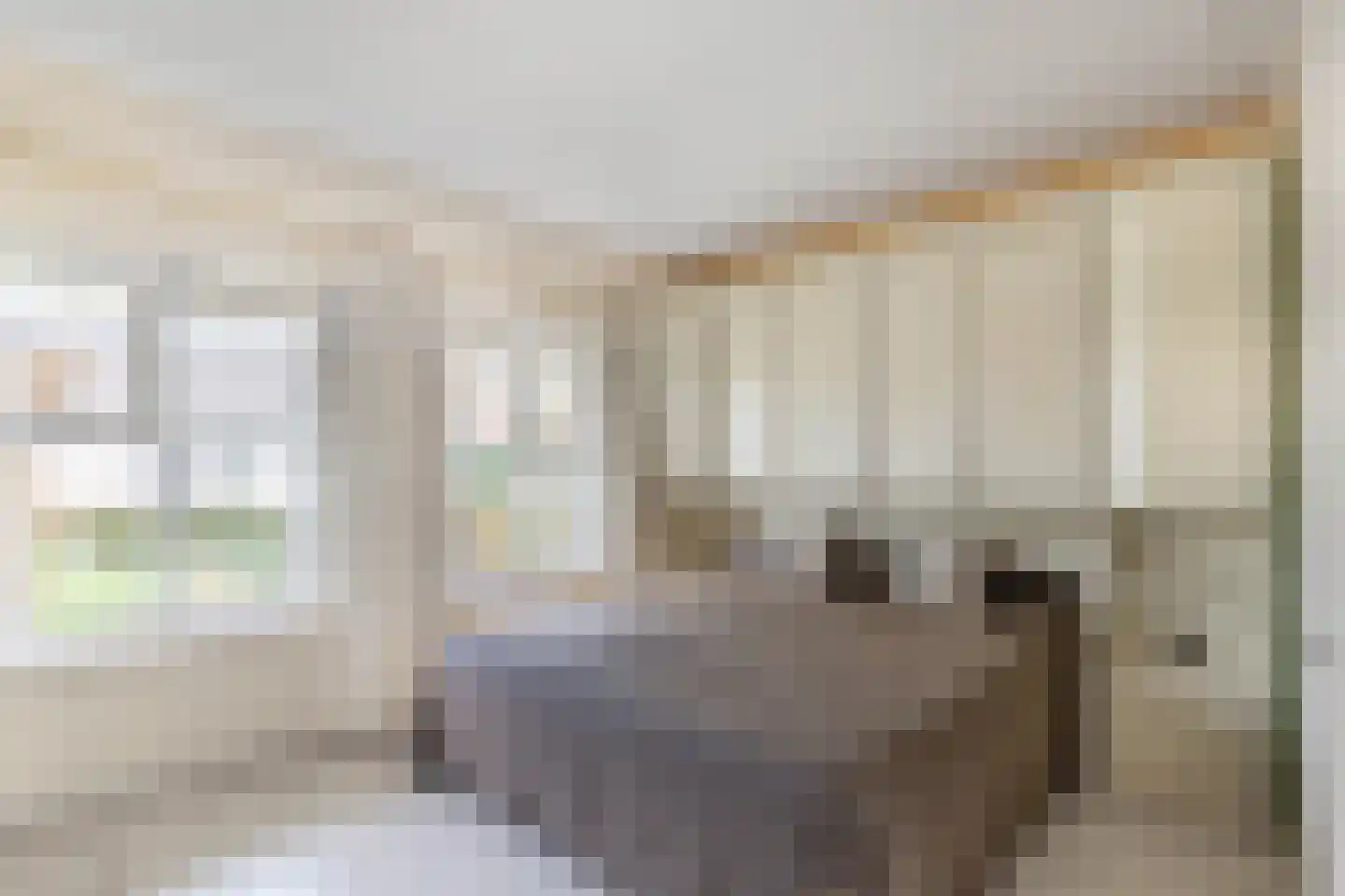 Dusseldorperweg 45 Limmen thumbnail 15