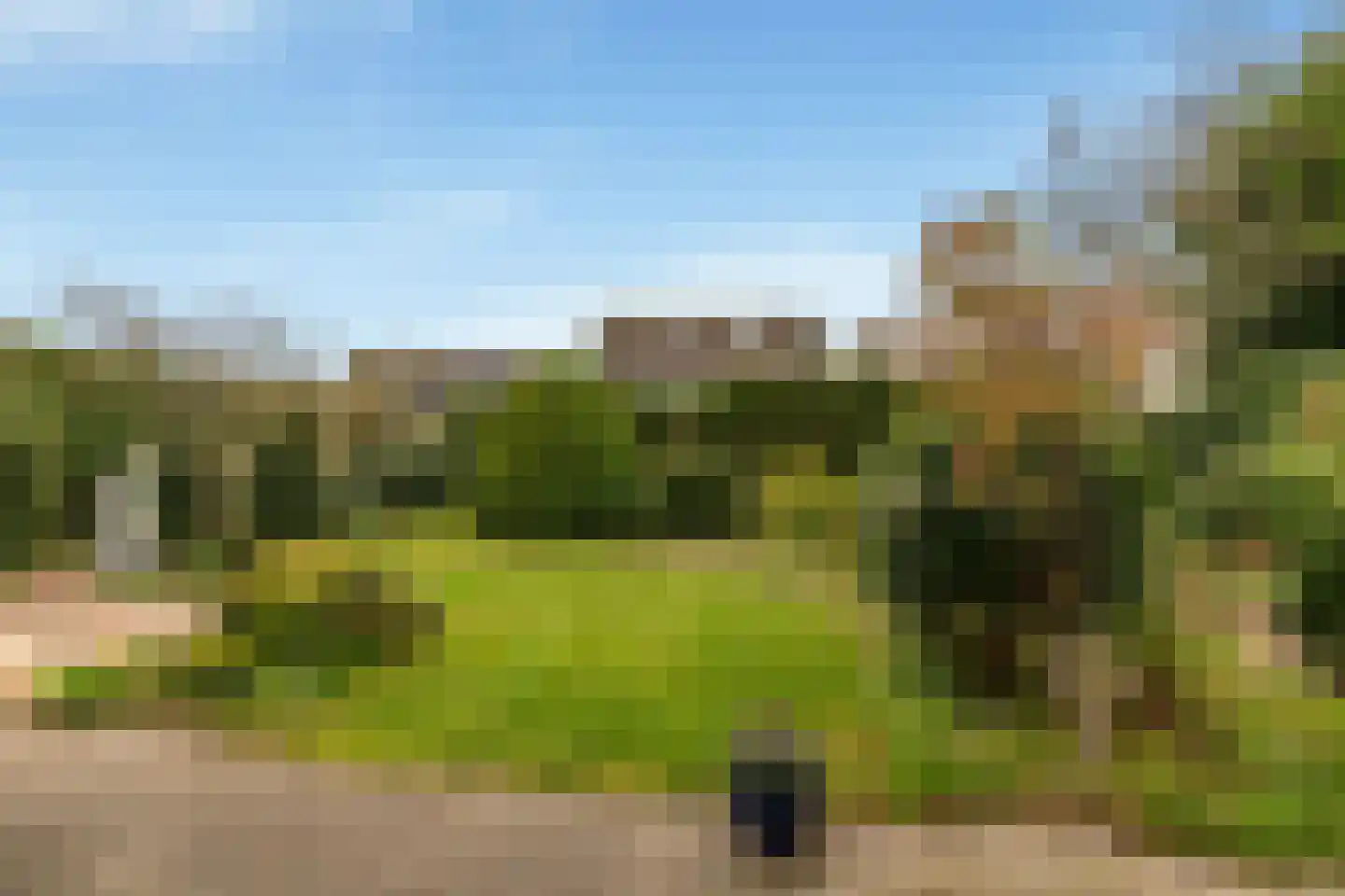 Dusseldorperweg 45 Limmen thumbnail 4