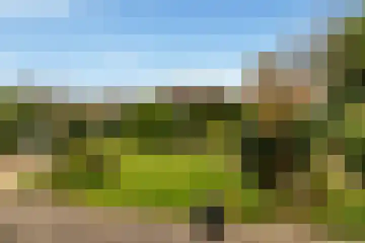 Dusseldorperweg 45 Limmen thumbnail 4