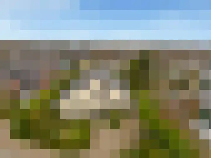 Dusseldorperweg 45 Limmen thumbnail 5