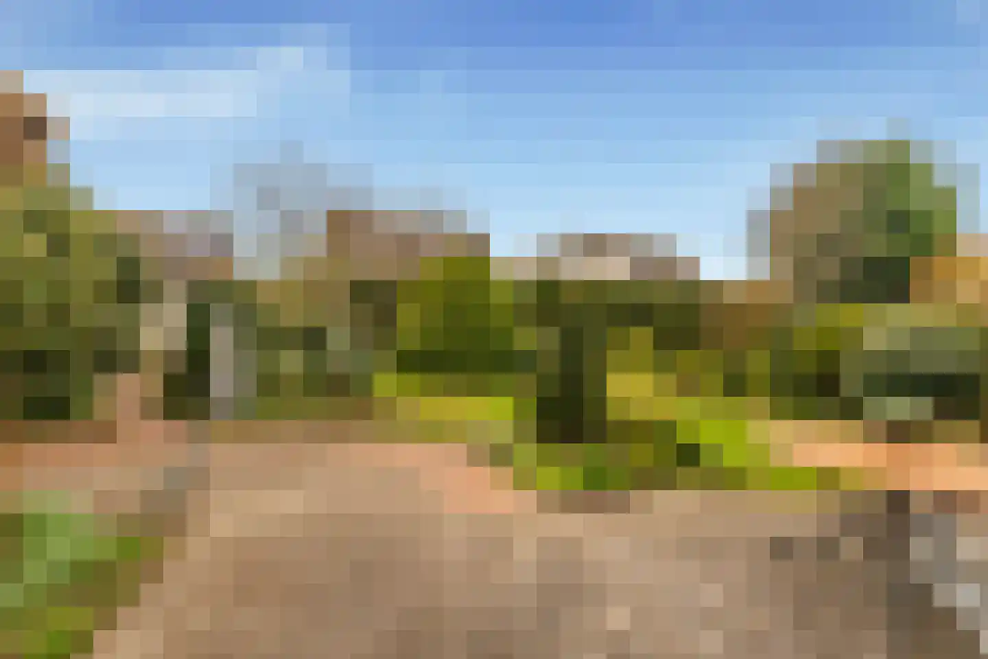 Dusseldorperweg 45 Limmen thumbnail 56