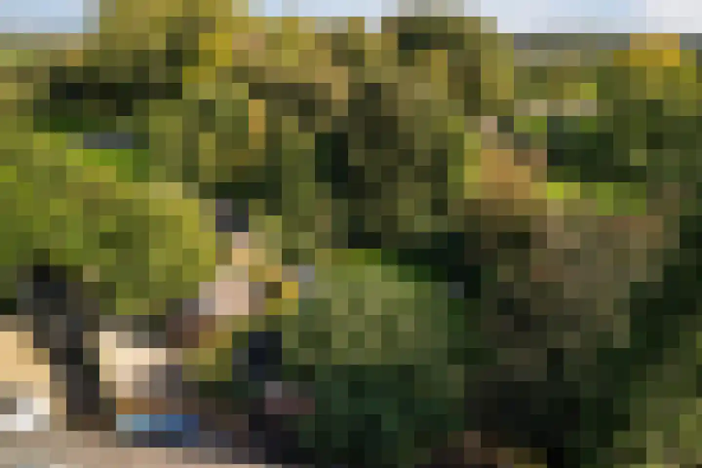 Dussen Dijk 18 Dussen thumbnail 100