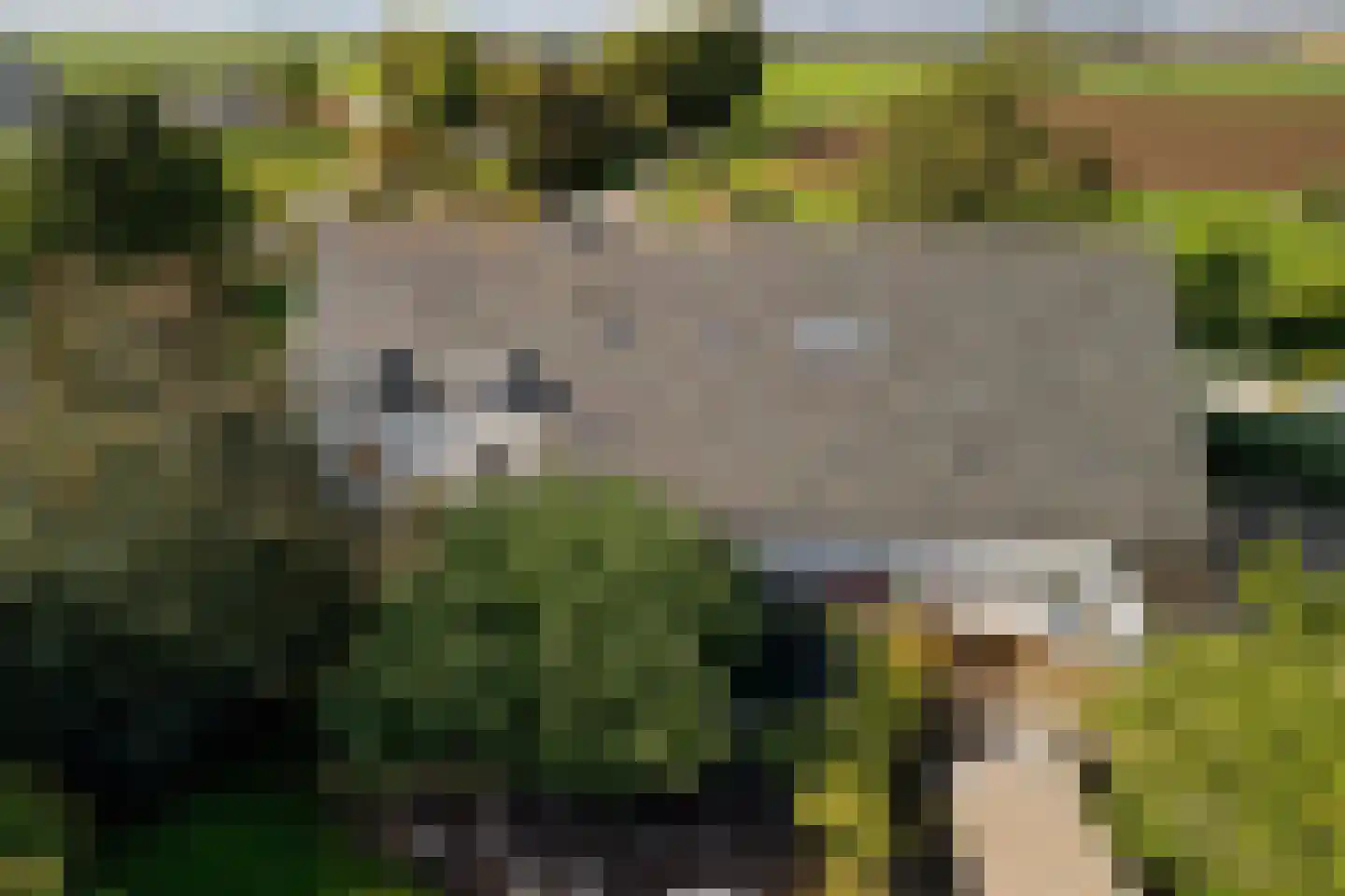 Dussen Dijk 18 Dussen thumbnail 101