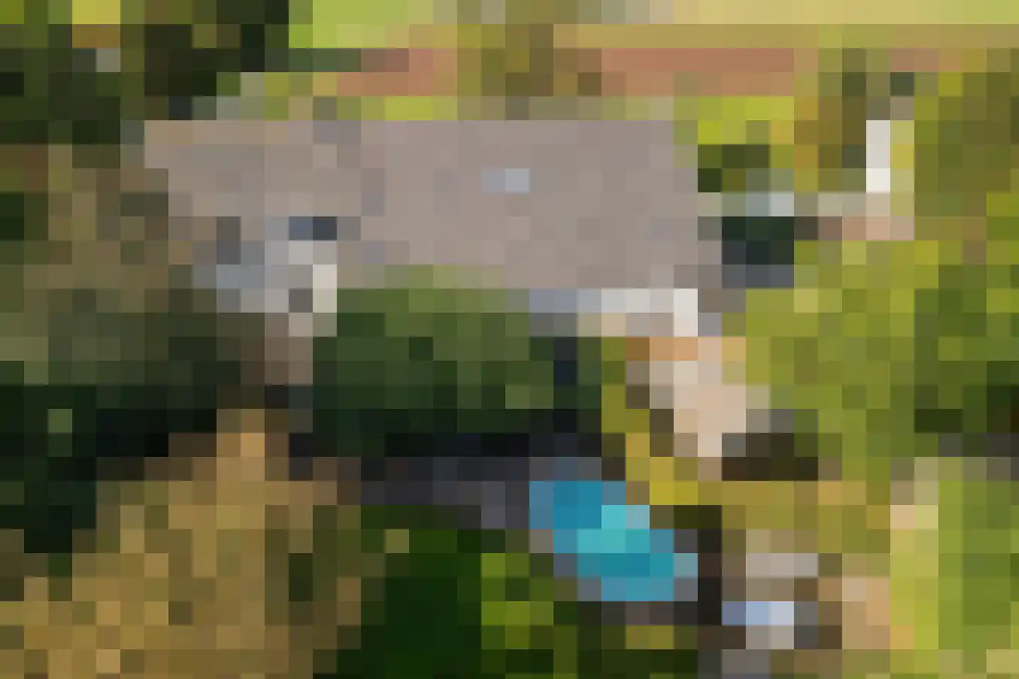 Dussen Dijk 18 Dussen thumbnail 102