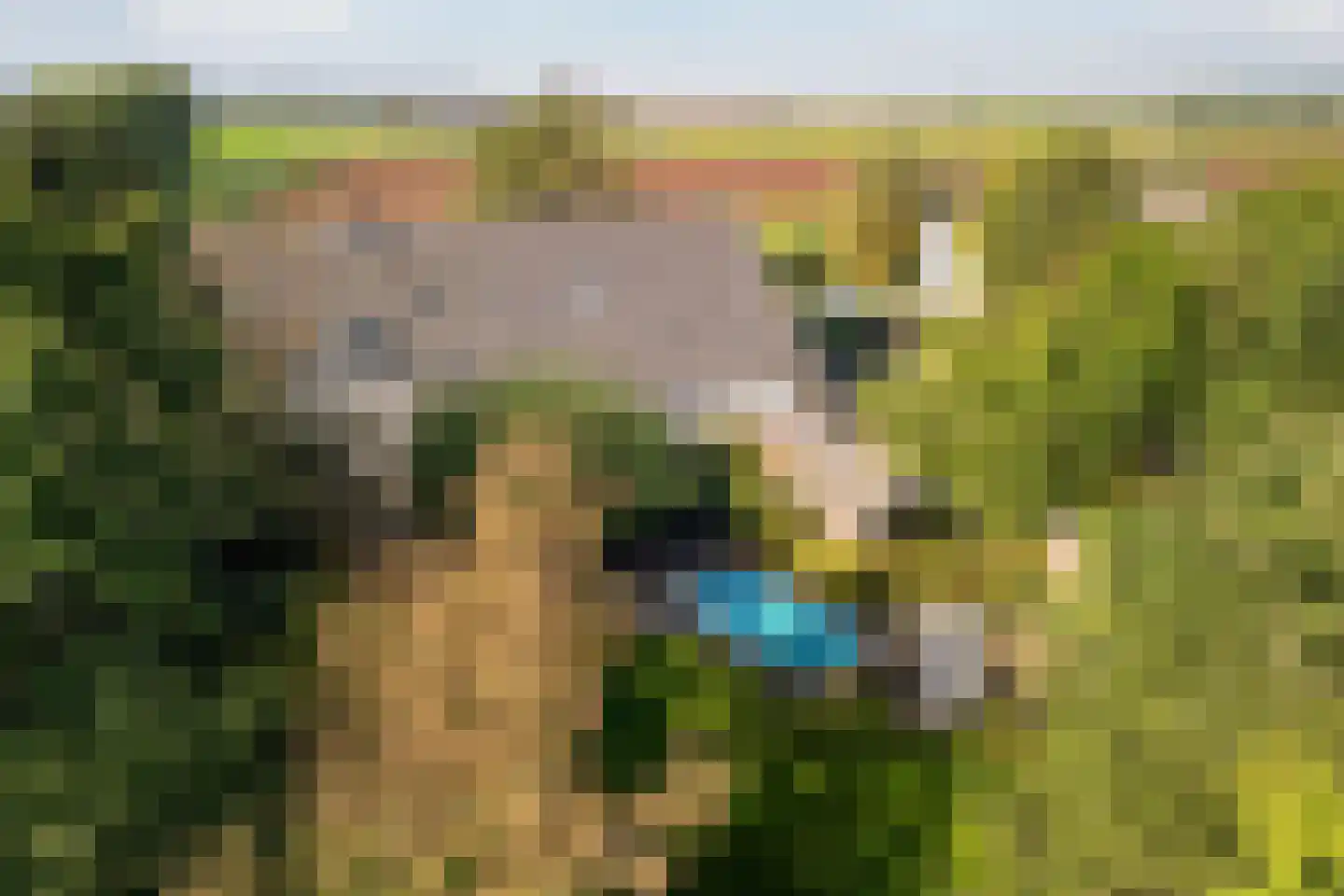Dussen Dijk 18 Dussen thumbnail 106