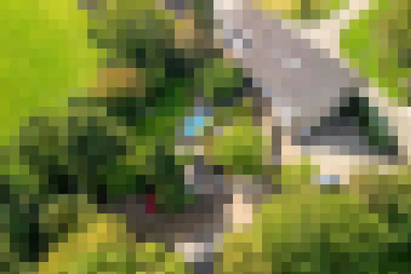 Dussen Dijk 18 Dussen thumbnail 107