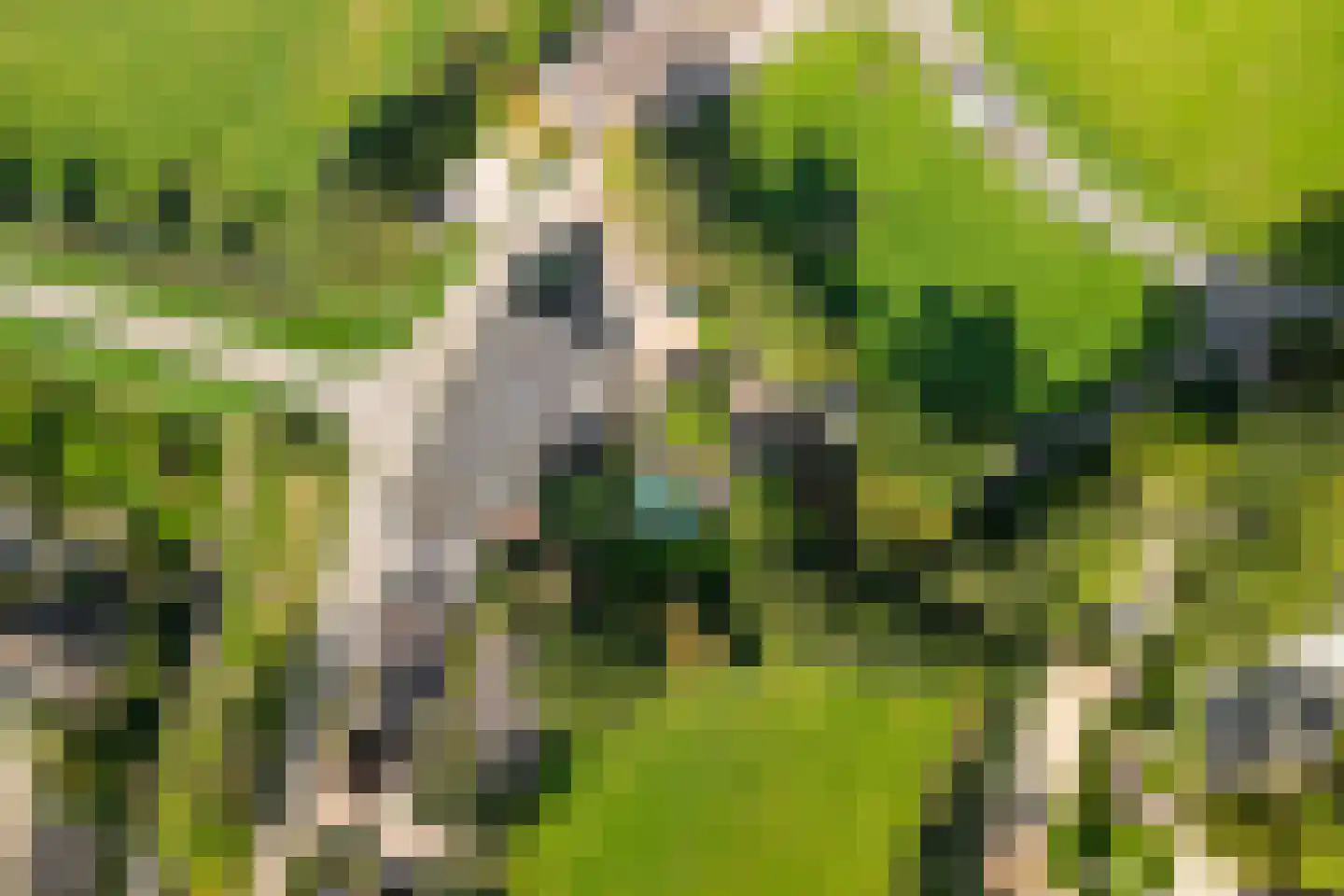 Dussen Dijk 18 Dussen thumbnail 108