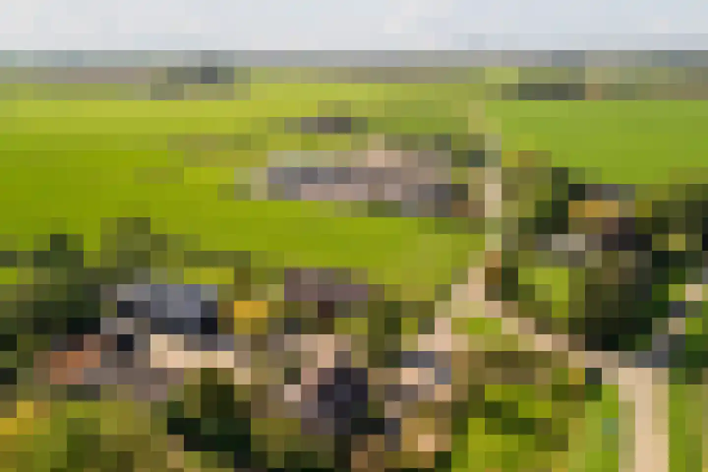 Dussen Dijk 18 Dussen thumbnail 109