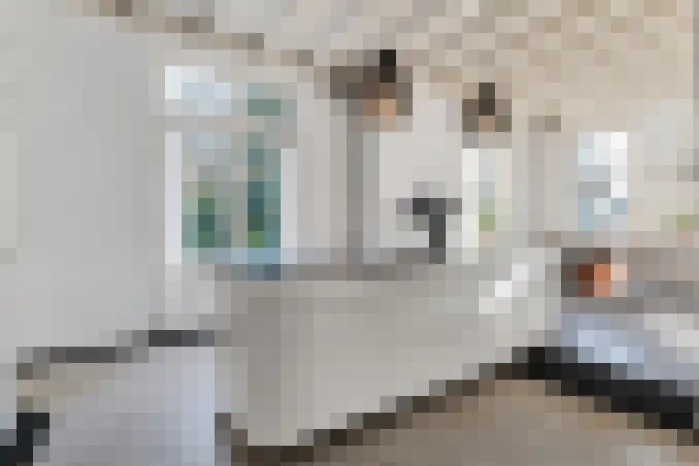 Dussen Dijk 18 Dussen thumbnail 22
