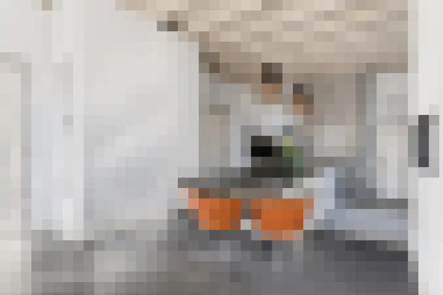 Dussen Dijk 18 Dussen thumbnail 29