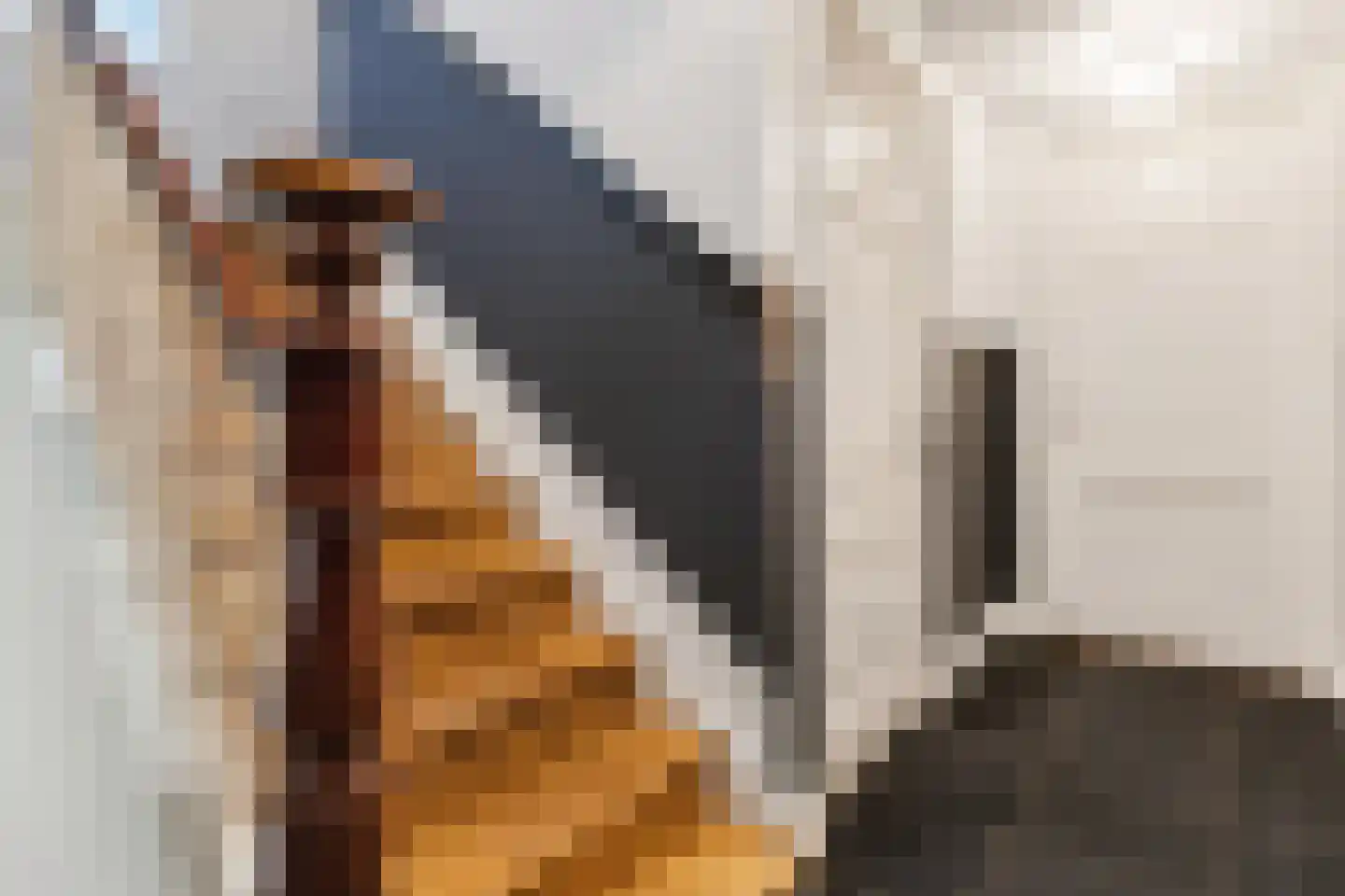 Dussen Dijk 18 Dussen thumbnail 38