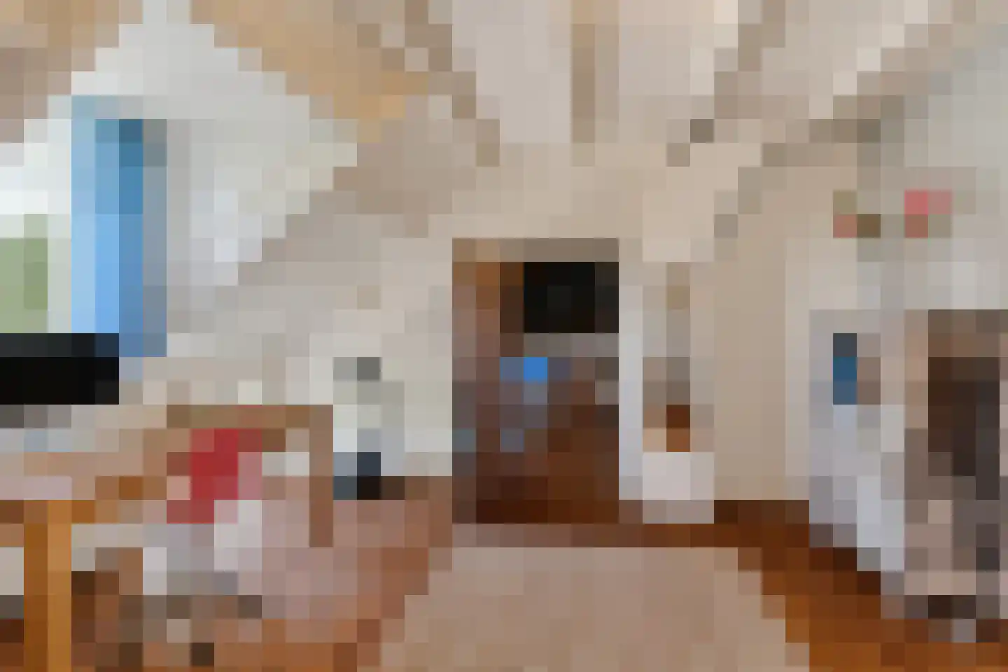 Dussen Dijk 18 Dussen thumbnail 47