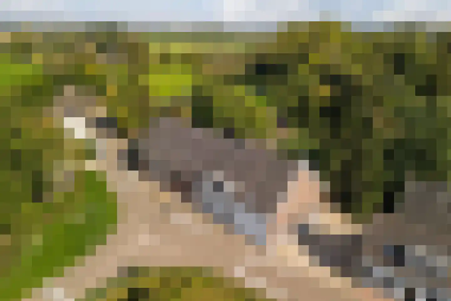 Dussen Dijk 18 Dussen thumbnail 5