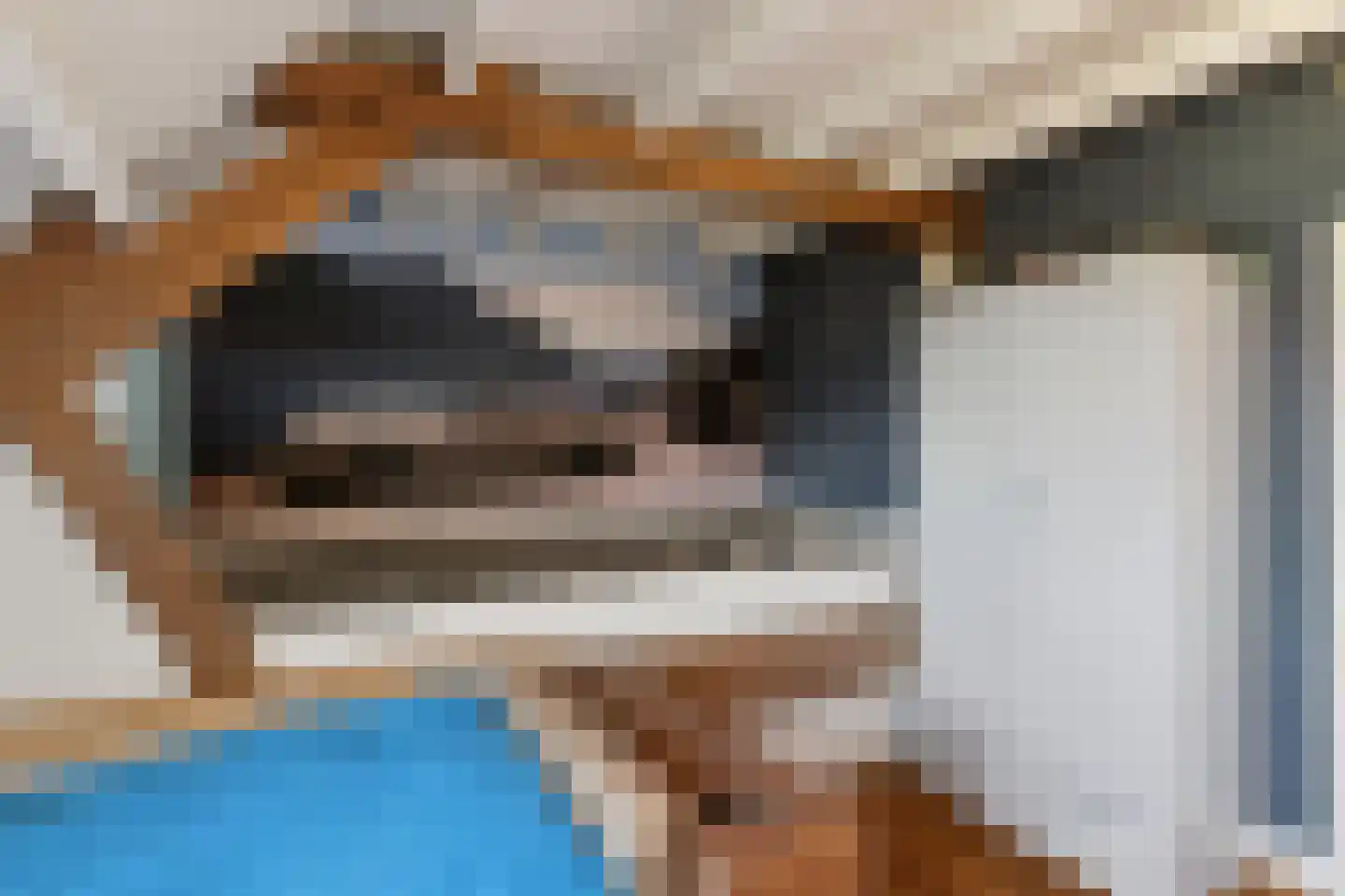 Dussen Dijk 18 Dussen thumbnail 52