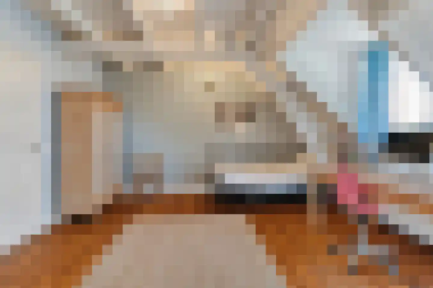 Dussen Dijk 18 Dussen thumbnail 54