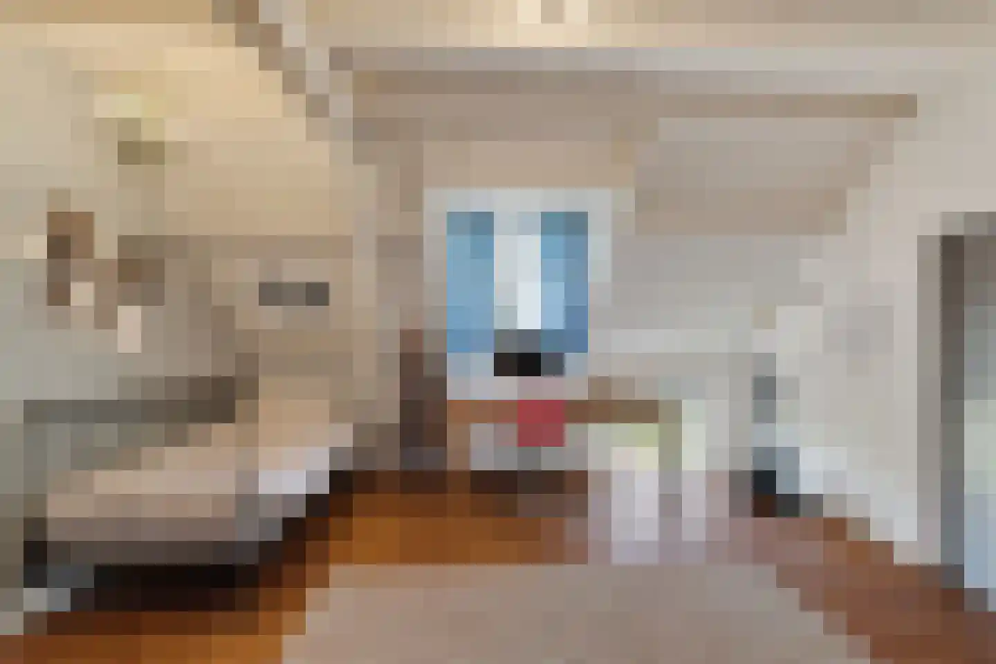 Dussen Dijk 18 Dussen thumbnail 55
