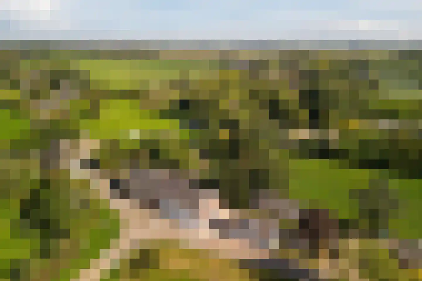 Dussen Dijk 18 Dussen thumbnail 6