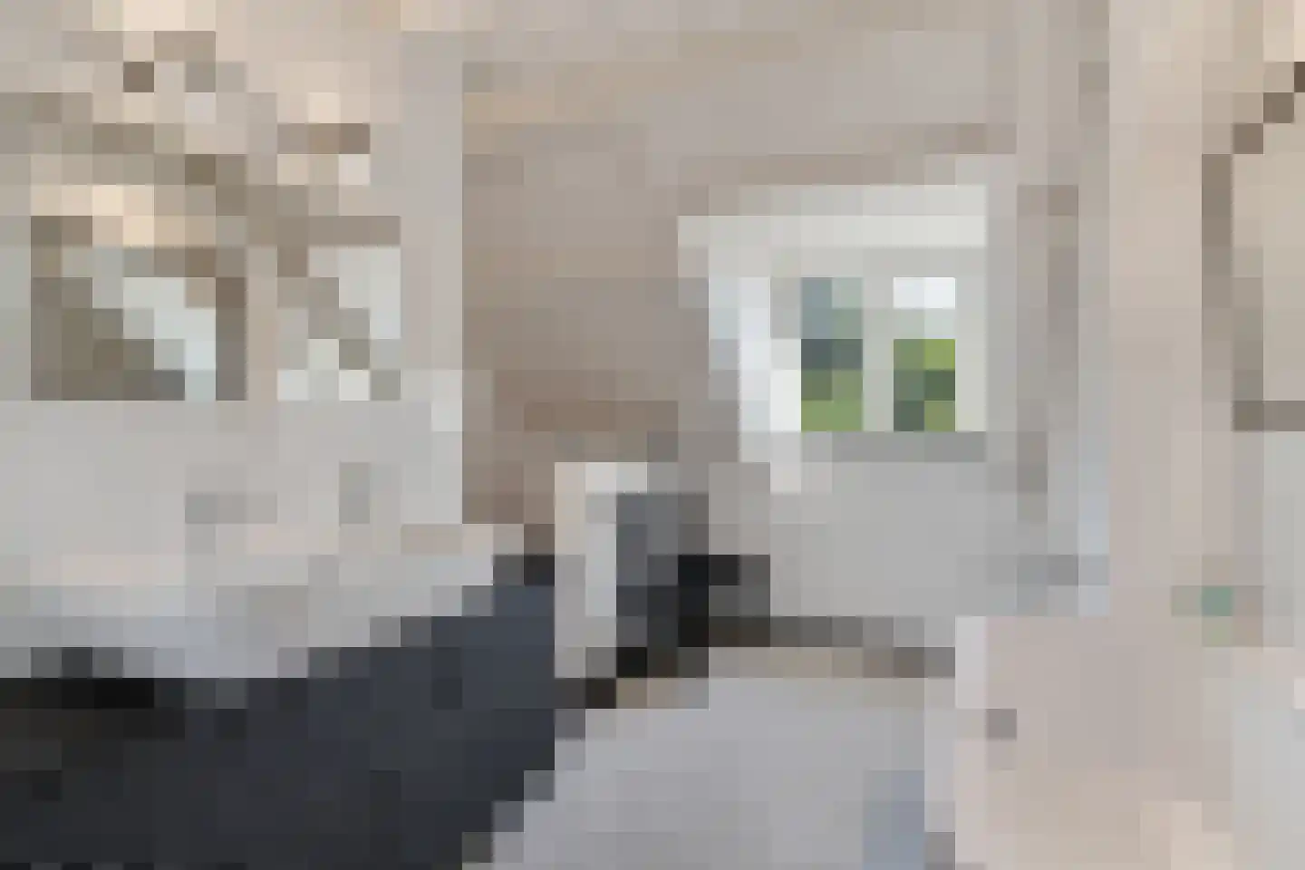 Dussen Dijk 18 Dussen thumbnail 66