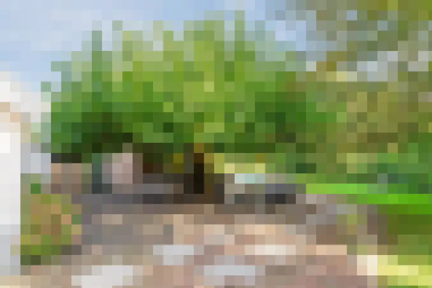 Dussen Dijk 18 Dussen thumbnail 79