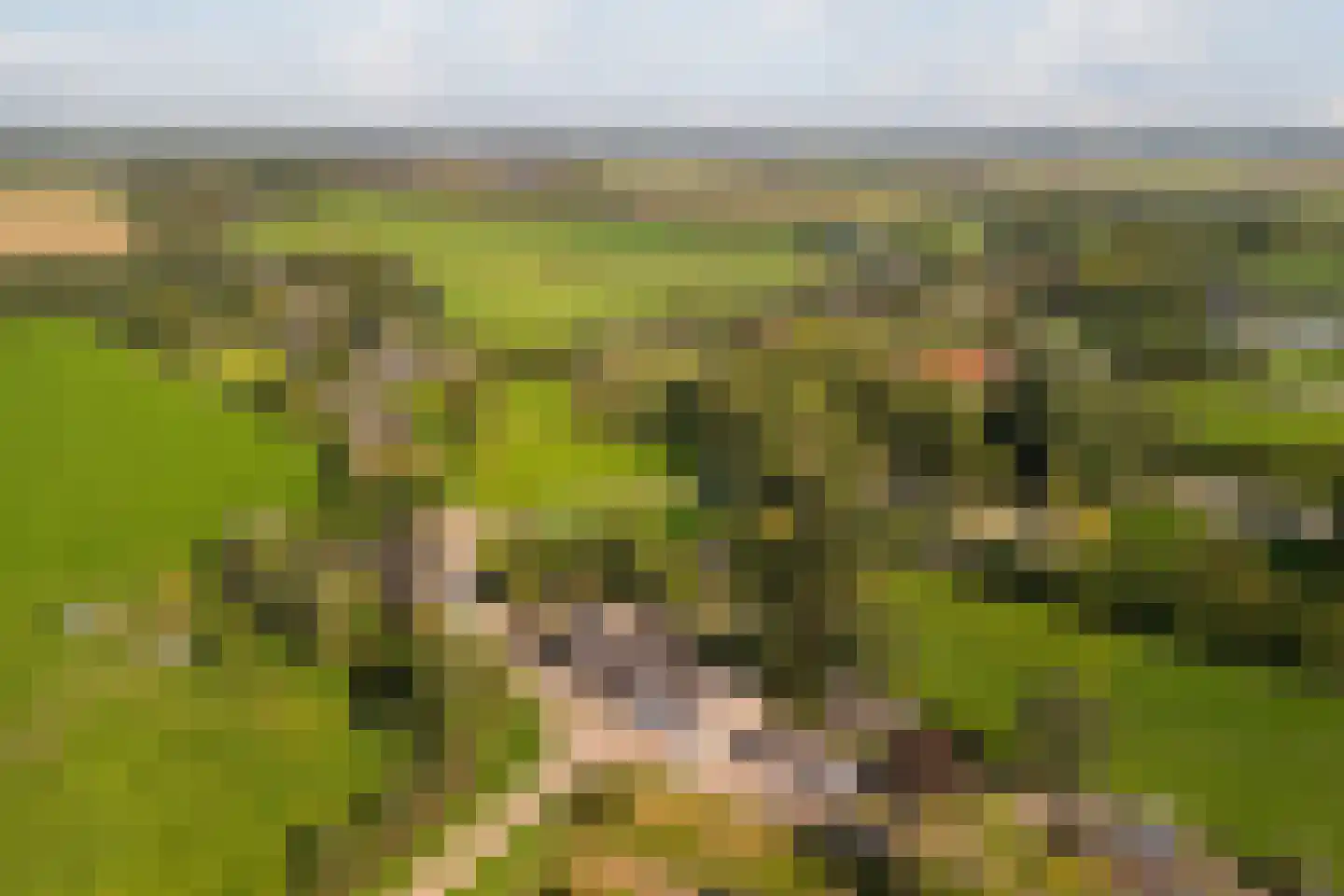 Dussen Dijk 18 Dussen thumbnail 8
