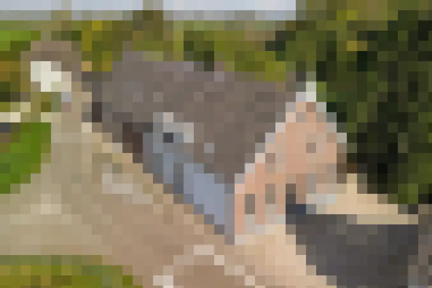 Dussen Dijk 18 Dussen thumbnail 9