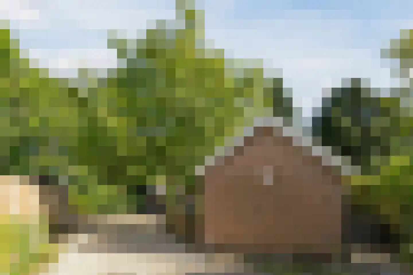 Dussen Dijk 18 Dussen thumbnail 91