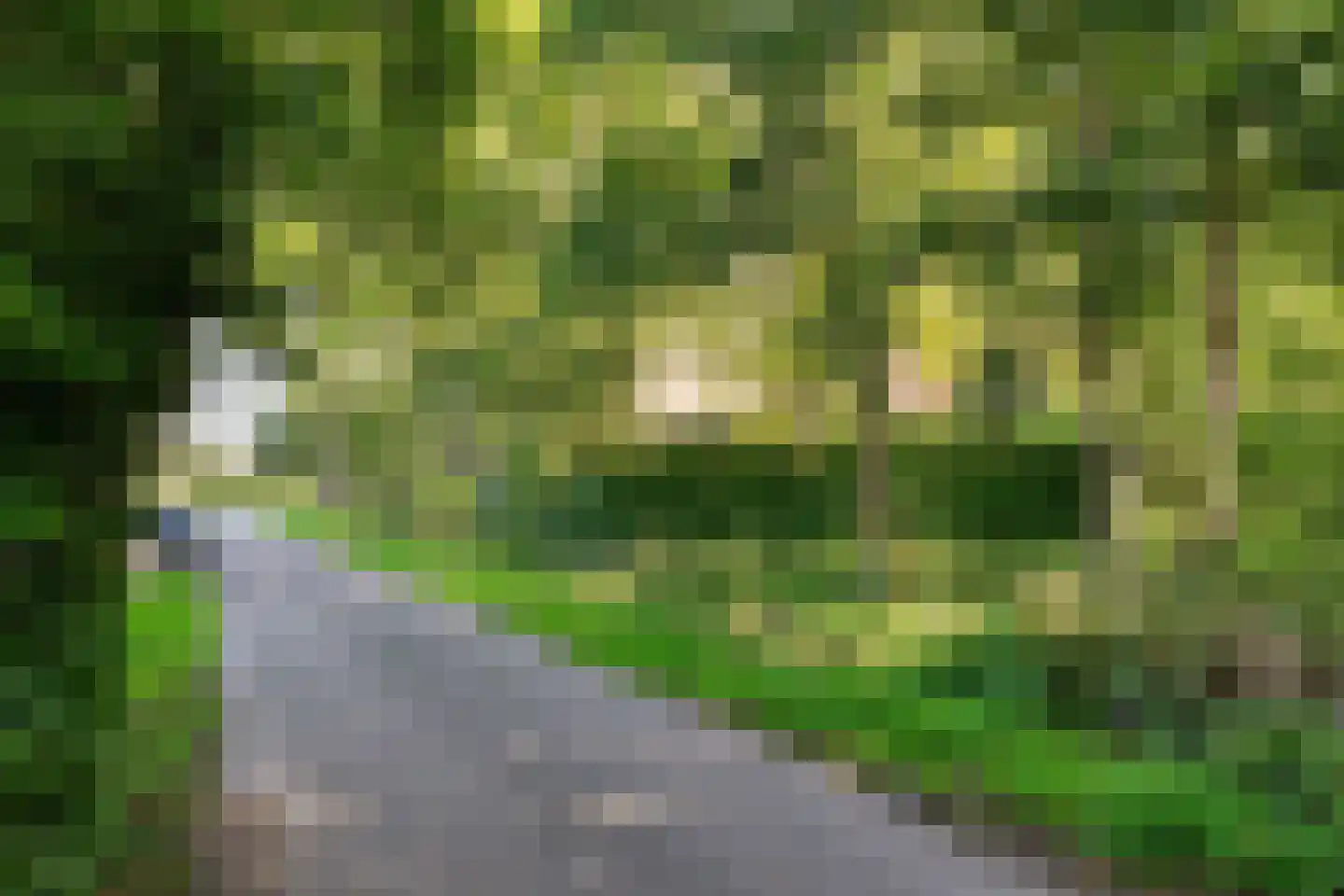 Dussen Dijk 18 Dussen thumbnail 95