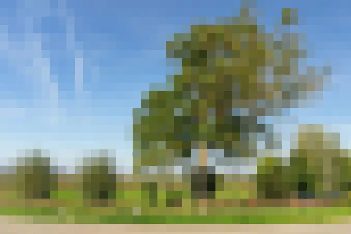 Dussen Dijk 18 Dussen thumbnail 97