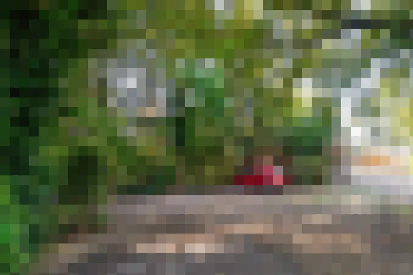Dussen Dijk 18 Dussen thumbnail 99