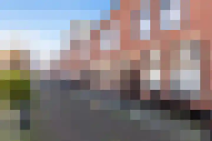 Dutoitstraat 11 Maassluis thumbnail 33