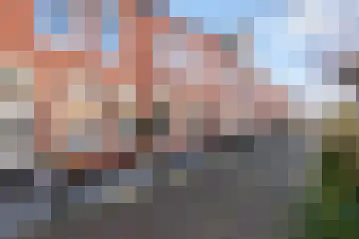 Dutoitstraat 11 Maassluis thumbnail 34