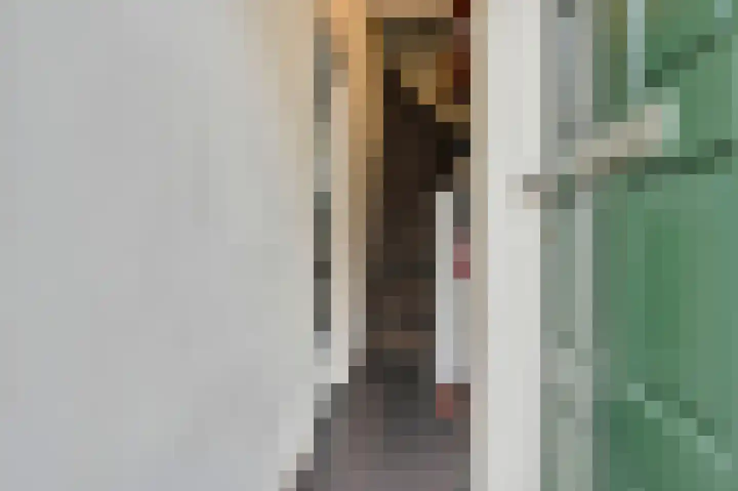 Dutoitstraat 15 Maassluis thumbnail 35