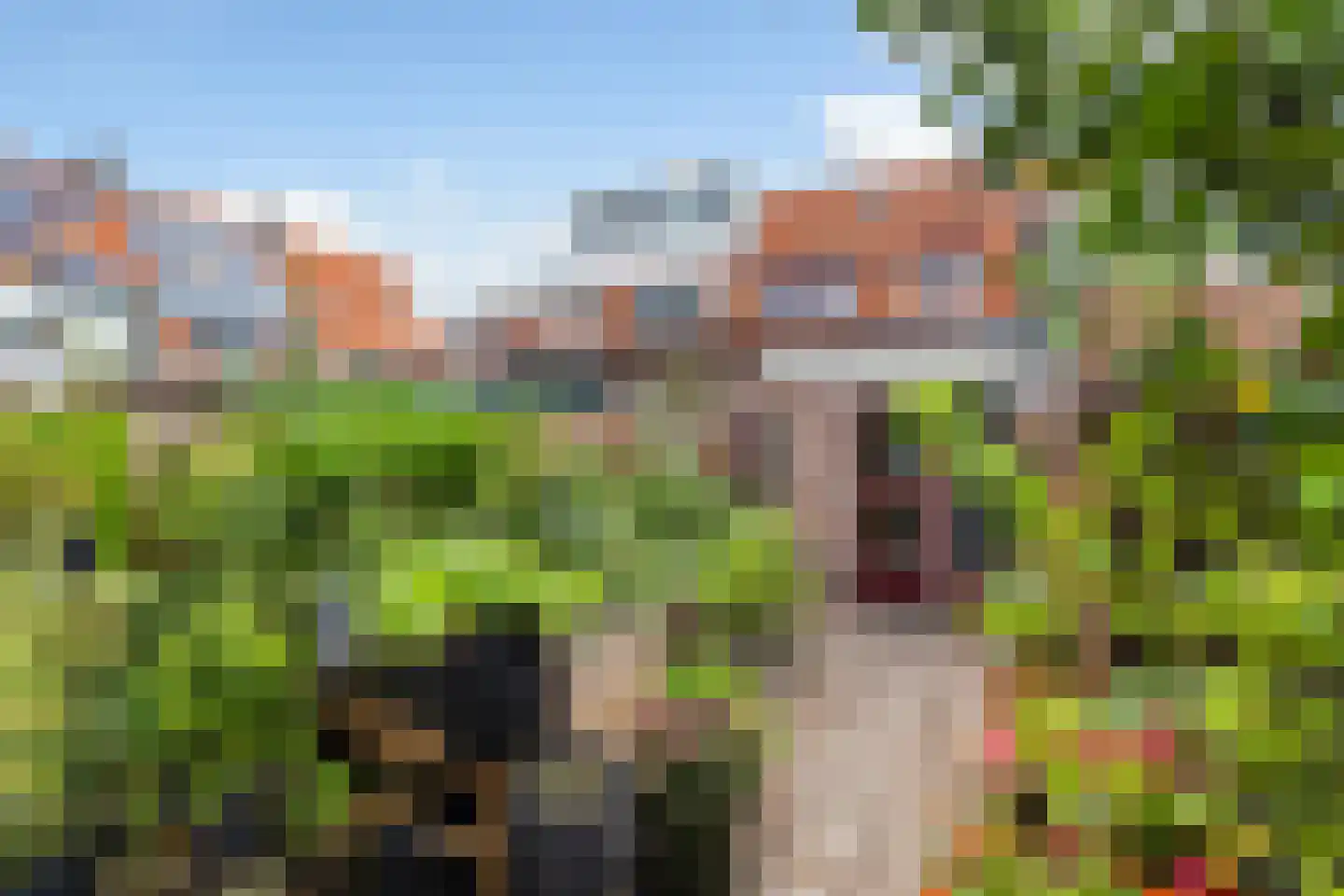 Dutoitstraat 6 Maassluis thumbnail 27