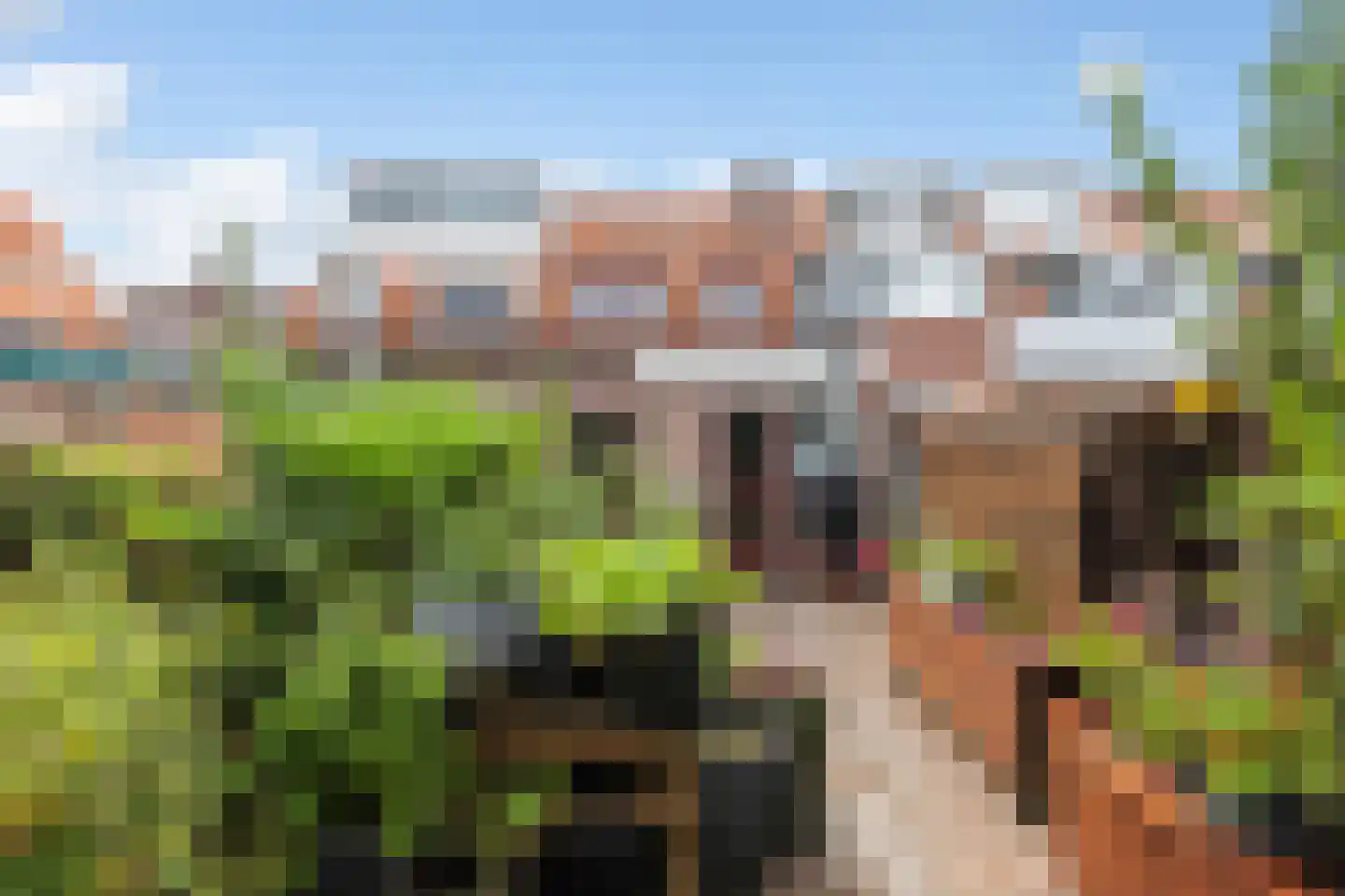 Dutoitstraat 6 Maassluis thumbnail 28