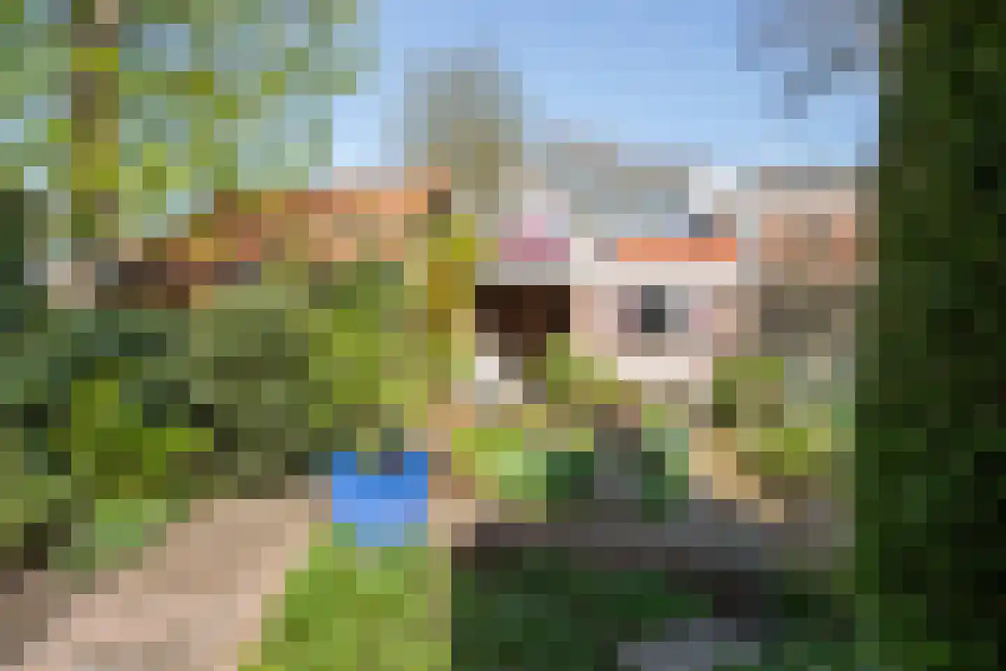 Dutoitstraat 9 Gouda thumbnail 45