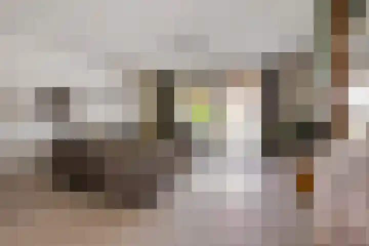 Dutry van Haeftenstraat 15 Haaften thumbnail 10