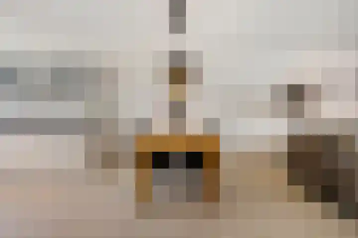 Dutry van Haeftenstraat 15 Haaften thumbnail 11