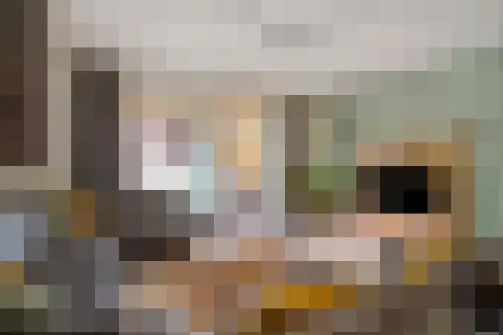 Dutry van Haeftenstraat 15 Haaften thumbnail 12