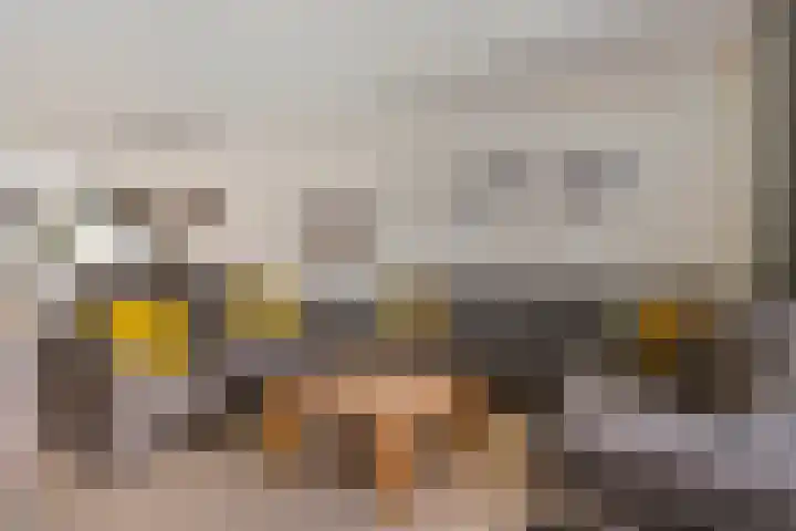 Dutry van Haeftenstraat 15 Haaften thumbnail 13