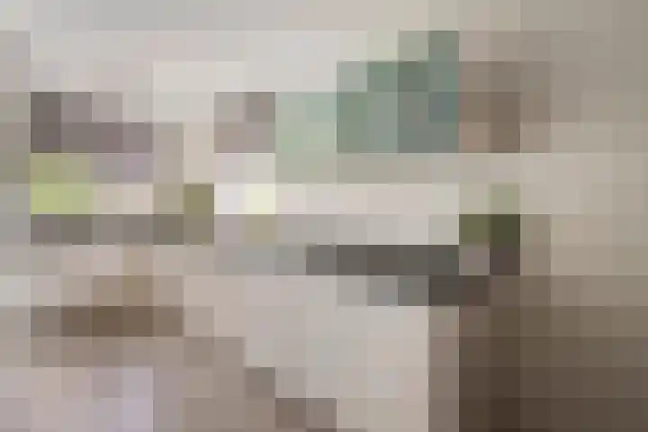 Dutry van Haeftenstraat 15 Haaften thumbnail 14