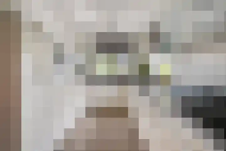 Dutry van Haeftenstraat 15 Haaften thumbnail 15