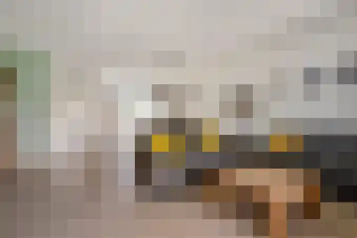 Dutry van Haeftenstraat 15 Haaften thumbnail 16