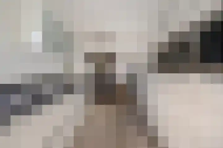 Dutry van Haeftenstraat 15 Haaften thumbnail 19