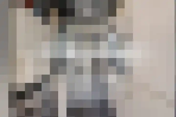 Dutry van Haeftenstraat 15 Haaften thumbnail 20