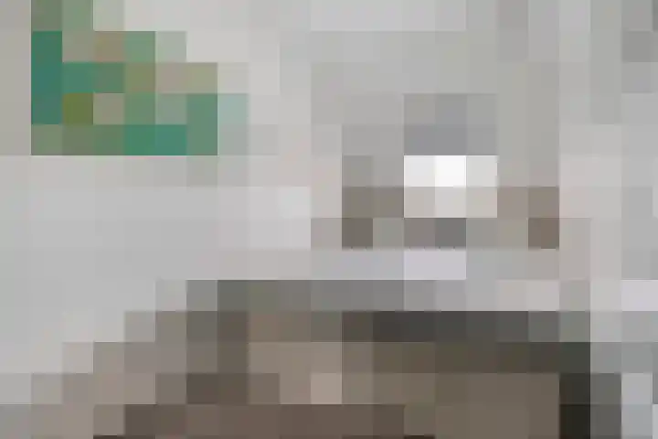 Dutry van Haeftenstraat 15 Haaften thumbnail 22