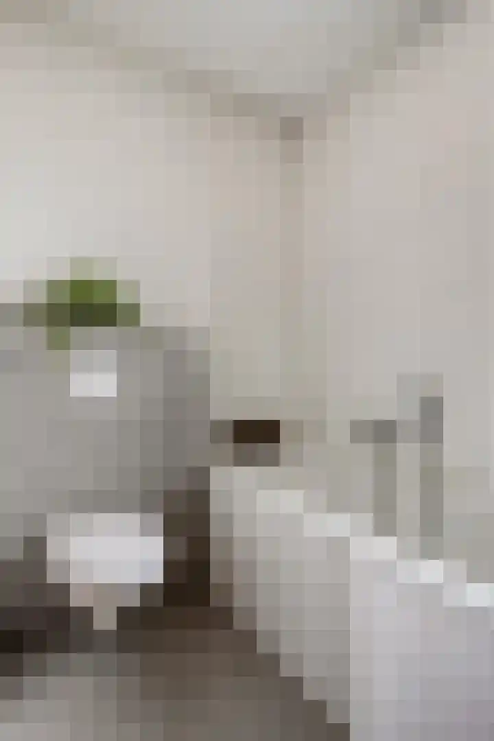 Dutry van Haeftenstraat 15 Haaften thumbnail 27