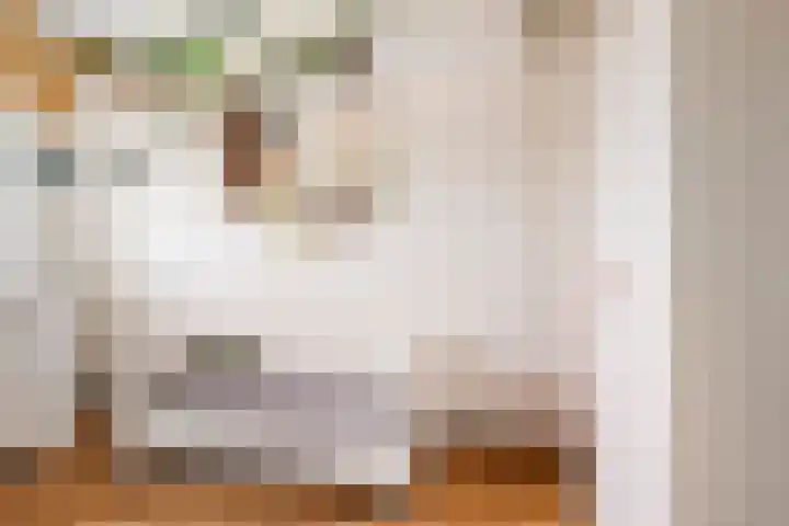 Dutry van Haeftenstraat 15 Haaften thumbnail 32
