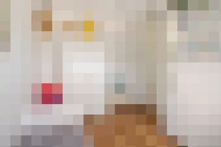 Dutry van Haeftenstraat 15 Haaften thumbnail 34