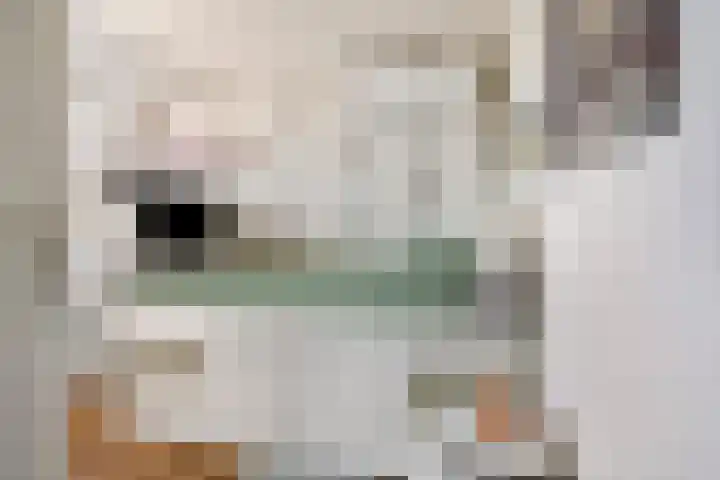 Dutry van Haeftenstraat 15 Haaften thumbnail 38